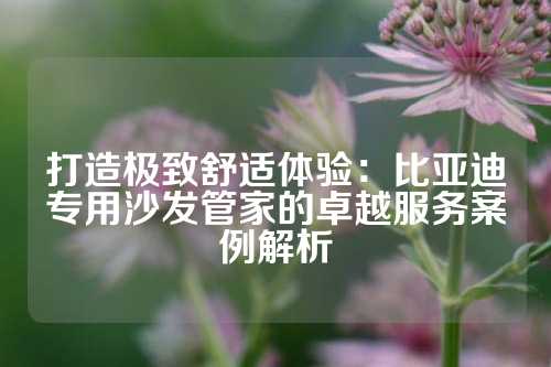 打造极致舒适体验：比亚迪专用沙发管家的卓越服务案例解析