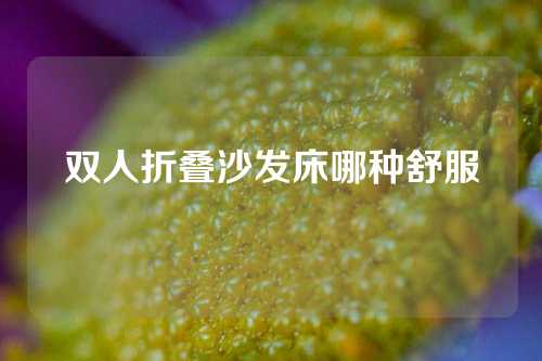 双人折叠沙发床哪种舒服