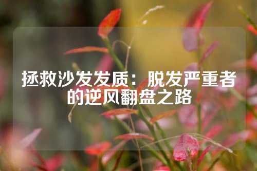 拯救沙发发质：脱发严重者的逆风翻盘之路