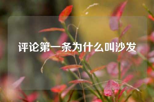 评论第一条为什么叫沙发