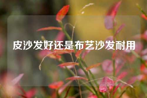 皮沙发好还是布艺沙发耐用