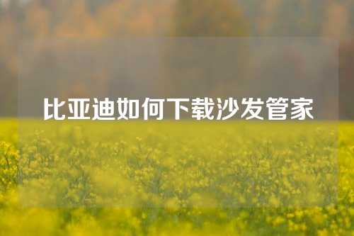 比亚迪如何下载沙发管家
