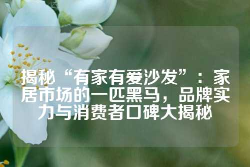揭秘“有家有爱沙发”：家居市场的一匹黑马，品牌实力与消费者口碑大揭秘
