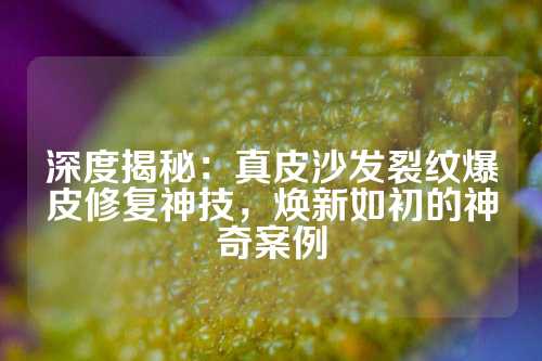 深度揭秘：真皮沙发裂纹爆皮修复神技，焕新如初的神奇案例