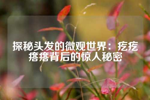 探秘头发的微观世界：疙疙瘩瘩背后的惊人秘密