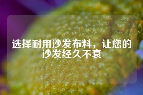 选择耐用沙发布料，让您的沙发经久不衰