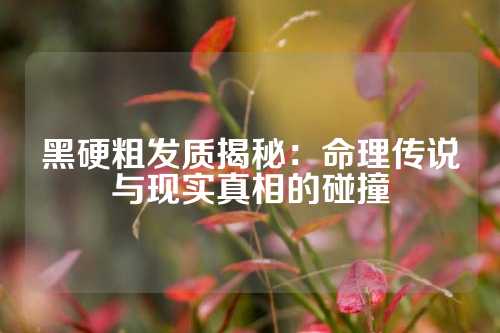 黑硬粗发质揭秘：命理传说与现实真相的碰撞