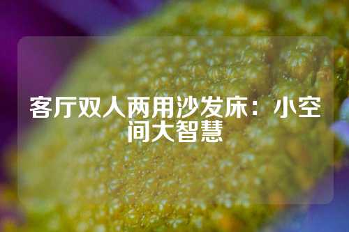 客厅双人两用沙发床：小空间大智慧