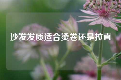 沙发发质适合烫卷还是拉直