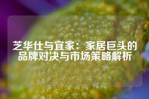 芝华仕与宜家：家居巨头的品牌对决与市场策略解析