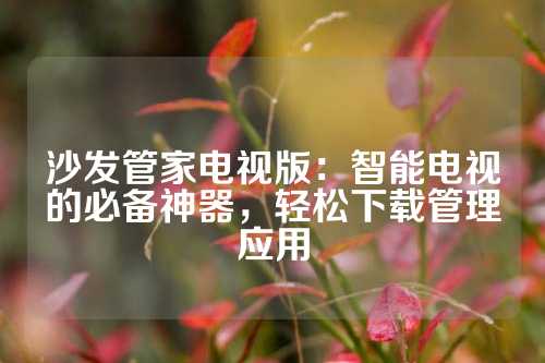 沙发管家电视版：智能电视的必备神器，轻松下载管理应用