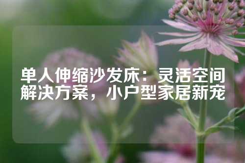 单人伸缩沙发床：灵活空间解决方案，小户型家居新宠