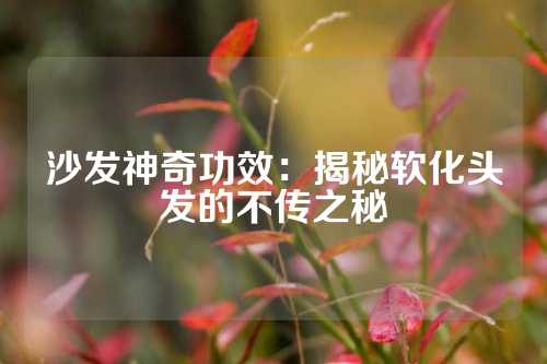 沙发神奇功效：揭秘软化头发的不传之秘