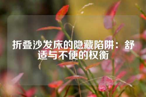 折叠沙发床的隐藏陷阱：舒适与不便的权衡