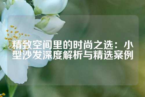 精致空间里的时尚之选：小型沙发深度解析与精选案例