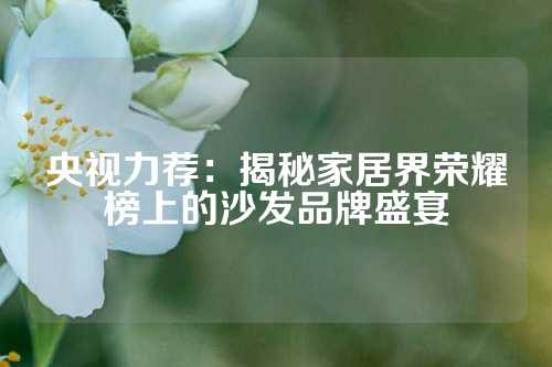 央视力荐：揭秘家居界荣耀榜上的沙发品牌盛宴