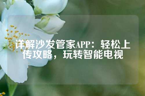 详解沙发管家APP：轻松上传攻略，玩转智能电视