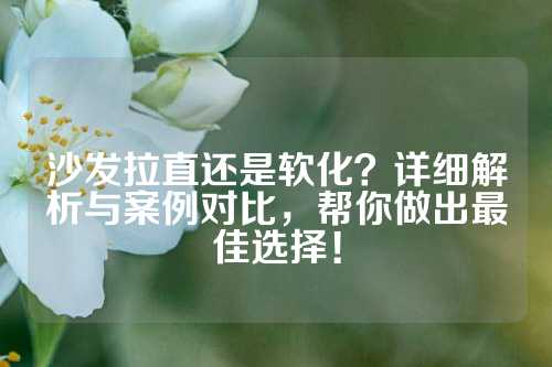 沙发拉直还是软化？详细解析与案例对比，帮你做出最佳选择！