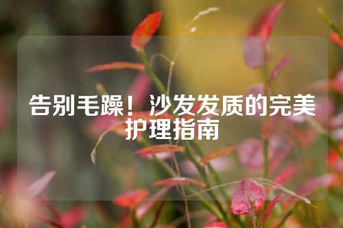告别毛躁！沙发发质的完美护理指南
