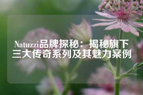 Natuzzi品牌探秘：揭秘旗下三大传奇系列及其魅力案例