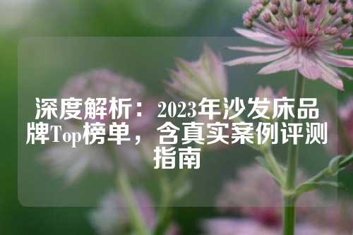 深度解析：2023年沙发床品牌Top榜单，含真实案例评测指南