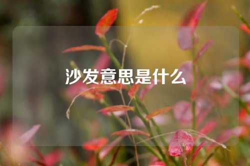沙发意思是什么