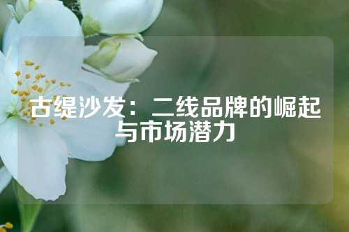 古缇沙发：二线品牌的崛起与市场潜力