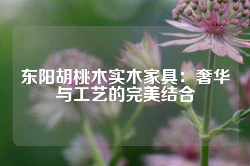 东阳胡桃木实木家具：奢华与工艺的完美结合
