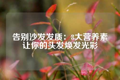 告别沙发发质：8大营养素让你的头发焕发光彩