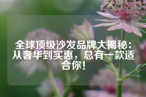 全球顶级沙发品牌大揭秘：从奢华到实惠，总有一款适合你！