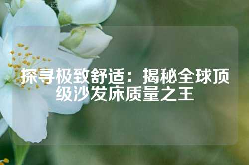 探寻极致舒适：揭秘全球顶级沙发床质量之王