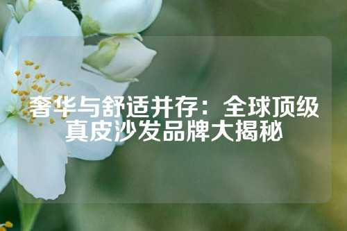 奢华与舒适并存：全球顶级真皮沙发品牌大揭秘