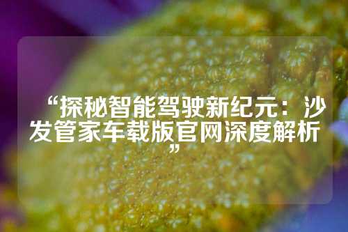 “探秘智能驾驶新纪元：沙发管家车载版官网深度解析”