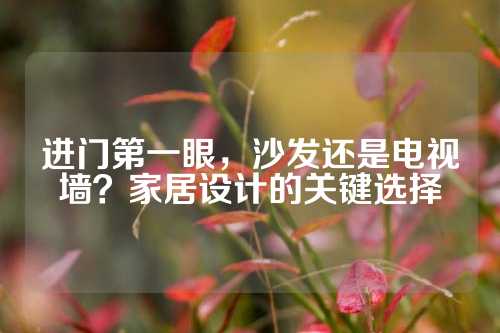 进门第一眼，沙发还是电视墙？家居设计的关键选择