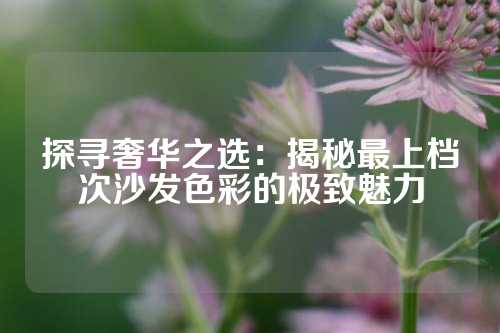 探寻奢华之选：揭秘最上档次沙发色彩的极致魅力