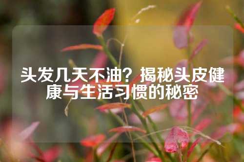 头发几天不油？揭秘头皮健康与生活习惯的秘密