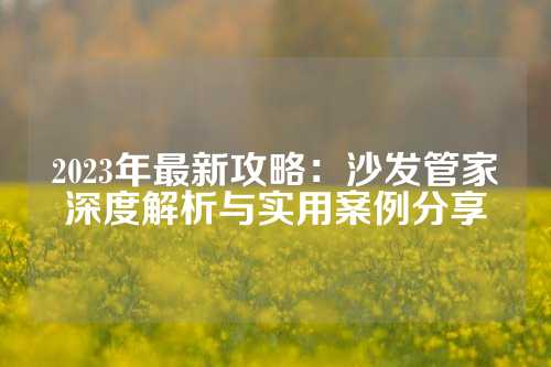 2023年最新攻略：沙发管家深度解析与实用案例分享