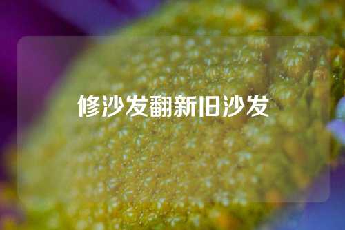 修沙发翻新旧沙发