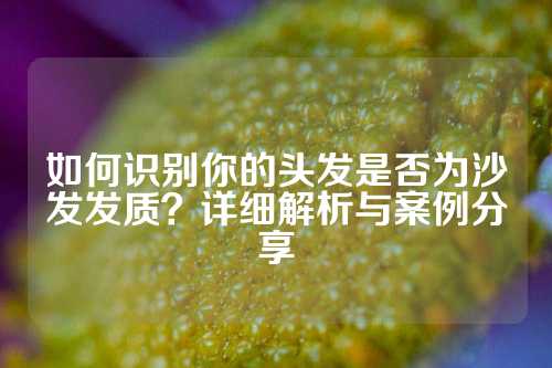 如何识别你的头发是否为沙发发质？详细解析与案例分享