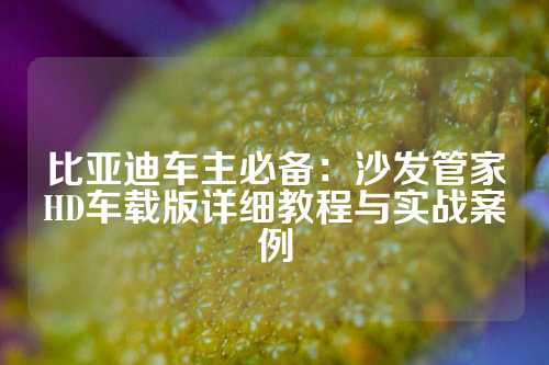 比亚迪车主必备：沙发管家HD车载版详细教程与实战案例