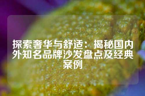 探索奢华与舒适：揭秘国内外知名品牌沙发盘点及经典案例