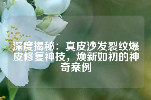 深度揭秘：真皮沙发裂纹爆皮修复神技，焕新如初的神奇案例