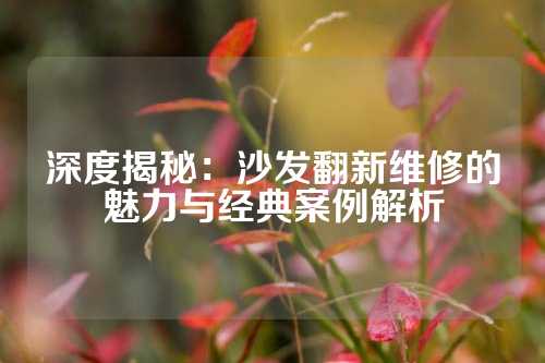 深度揭秘：沙发翻新维修的魅力与经典案例解析