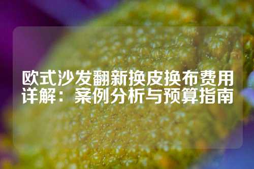 欧式沙发翻新换皮换布费用详解：案例分析与预算指南