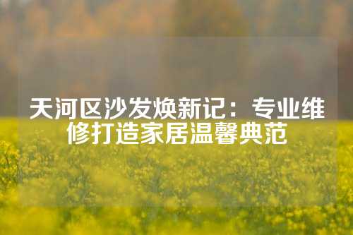 天河区沙发焕新记：专业维修打造家居温馨典范