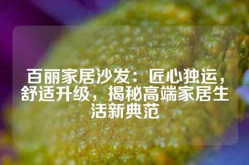 百丽家居沙发：匠心独运，舒适升级，揭秘高端家居生活新典范