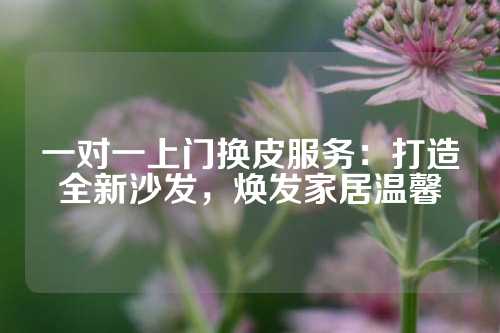 一对一上门换皮服务:打造全新沙发,焕发家居温馨