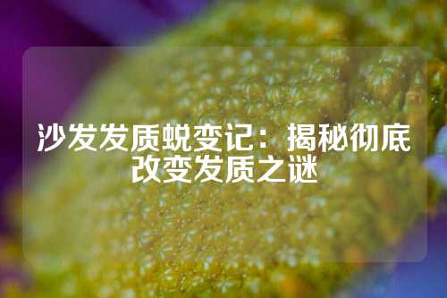 沙发发质蜕变记：揭秘彻底改变发质之谜