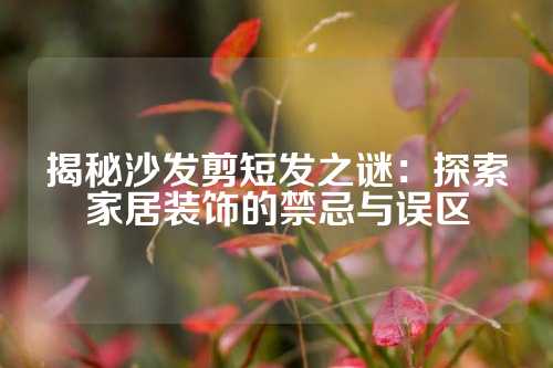 揭秘沙发剪短发之谜：探索家居装饰的禁忌与误区