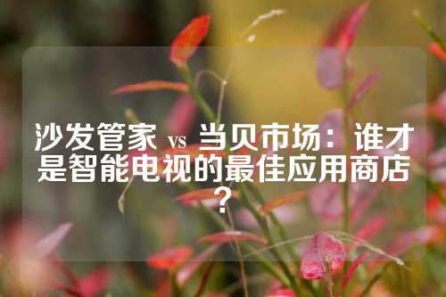 沙发管家 vs 当贝市场：谁才是智能电视的最佳应用商店？